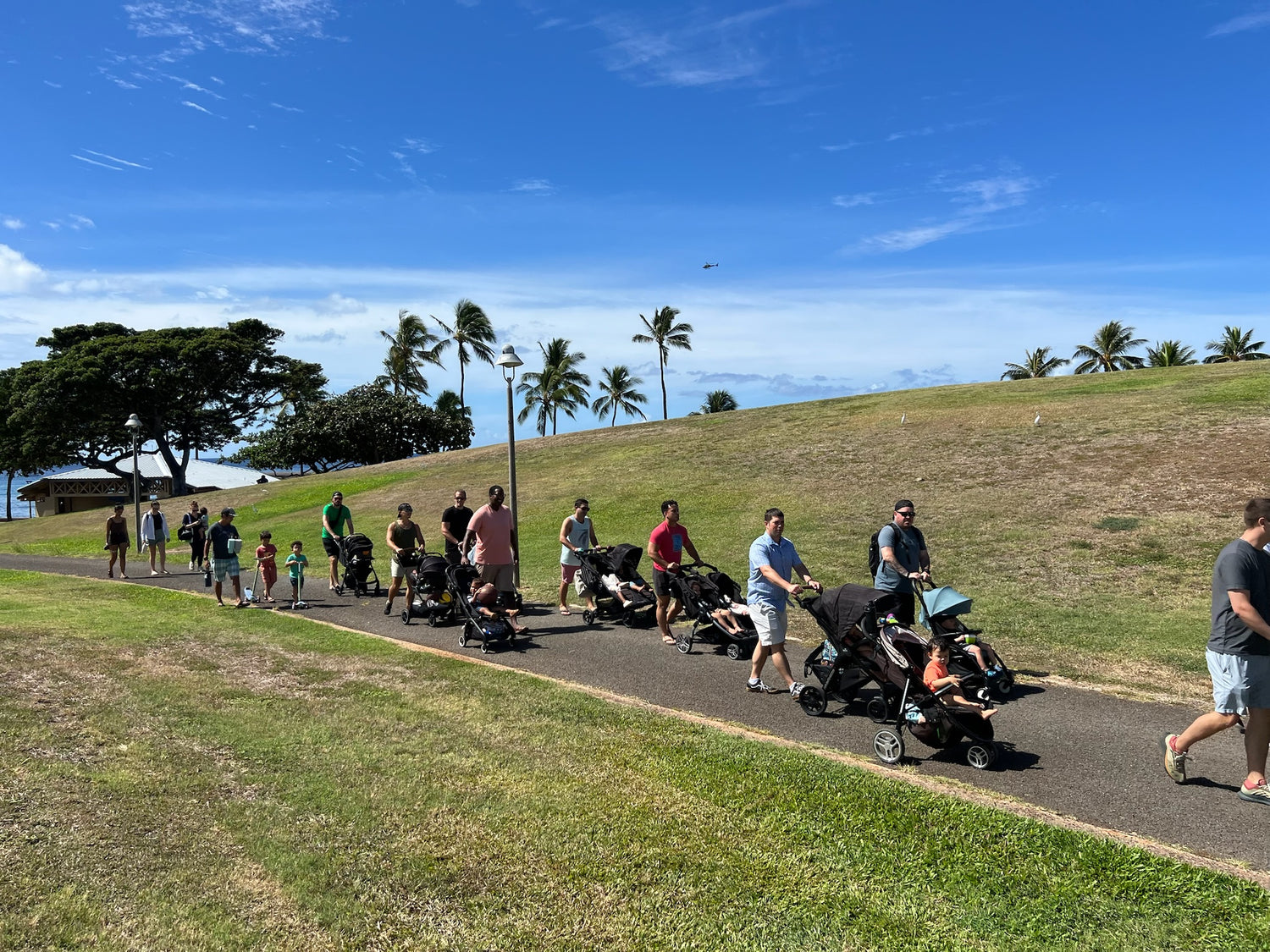 hawaii dads with strollers walking along a path in a park with palm trees in the background