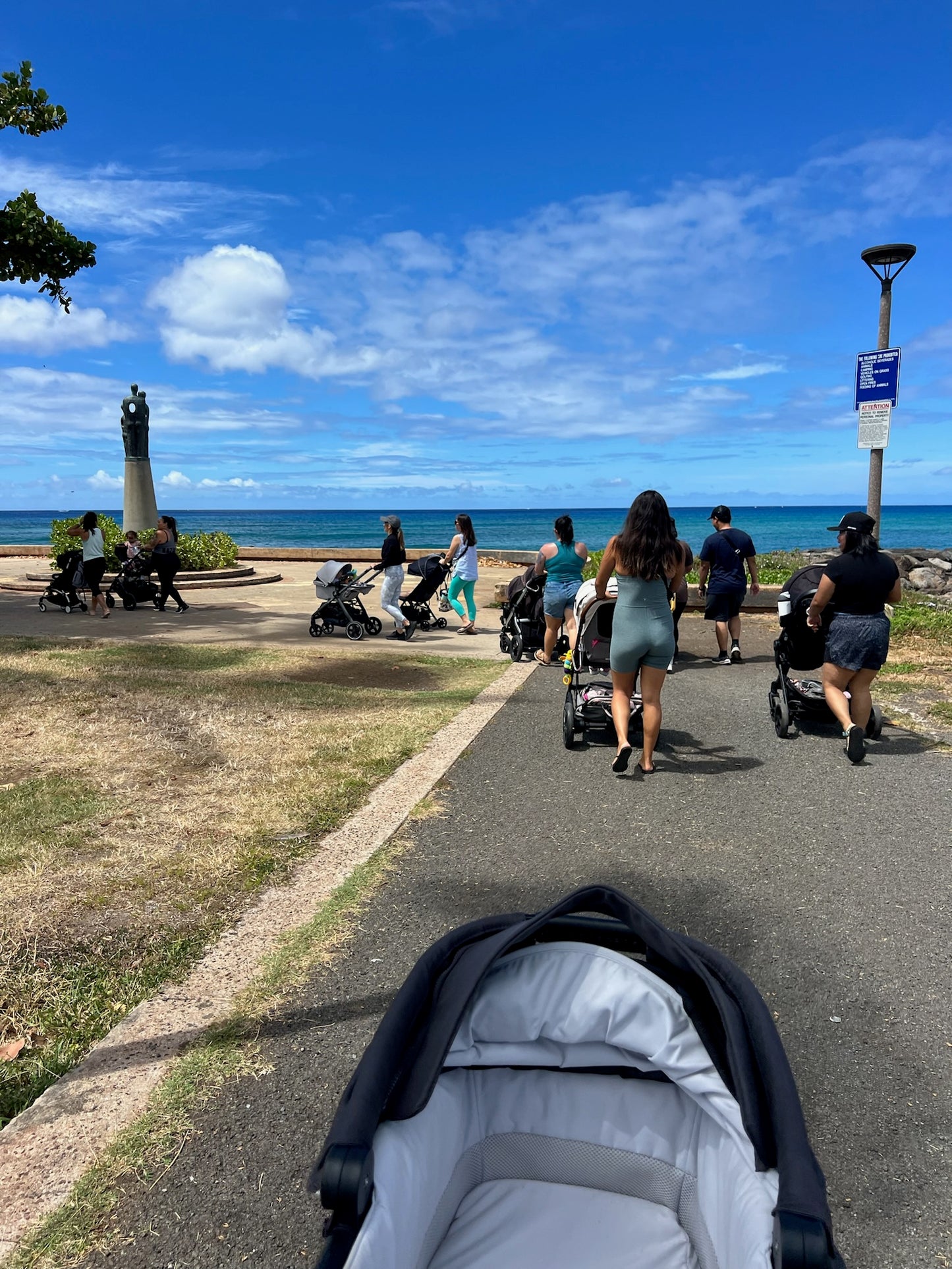 Oahu Mom Walk - January 5