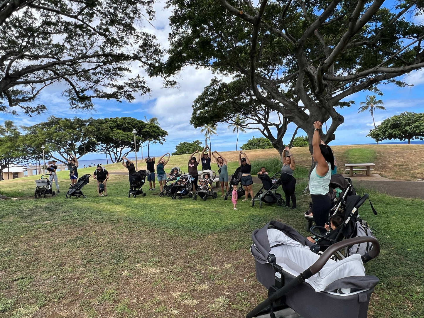 Oahu Mom Walk - January 5