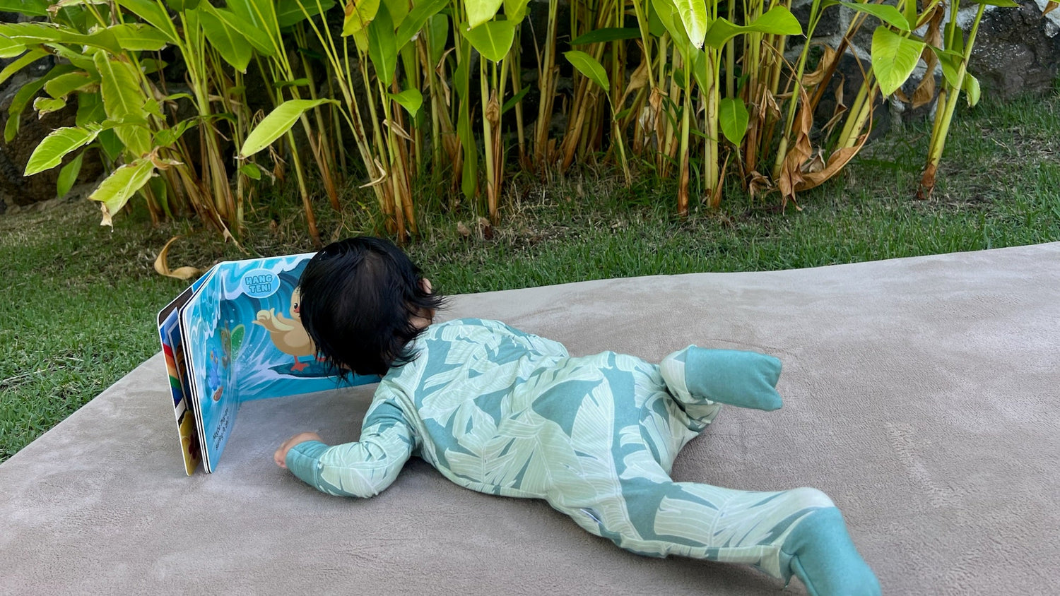 hawaii childrens book