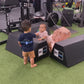 two toddlers at the gym